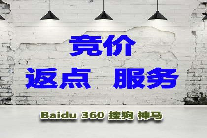 行业领先的SEM竞价广告投放案例